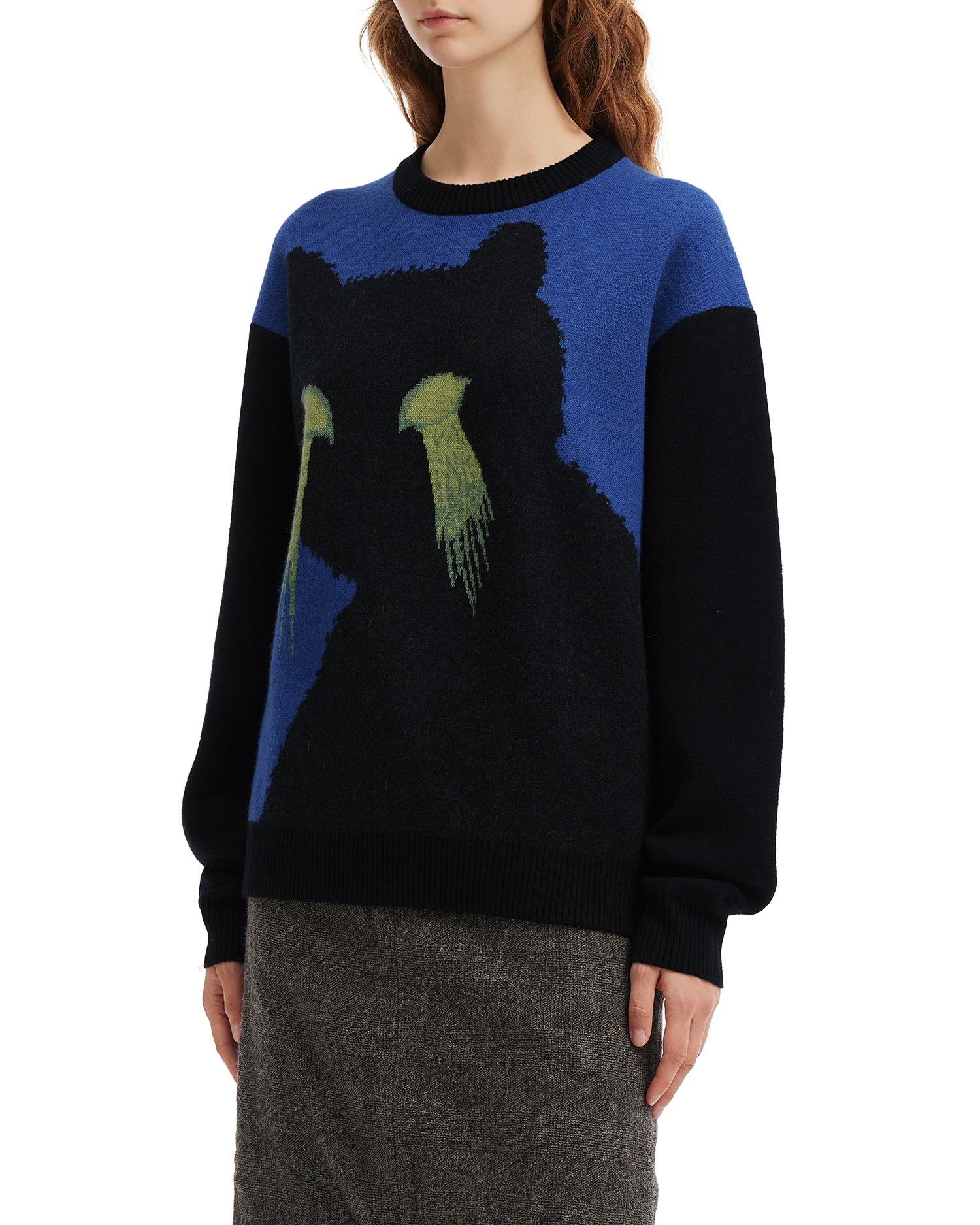 WE11DONE Graphic sweater
